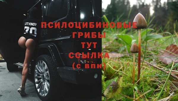 бошки Абдулино