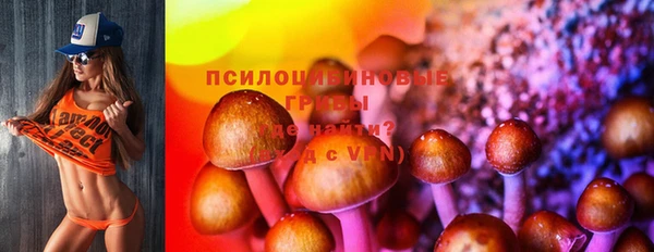 бошки Абдулино
