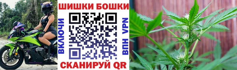 Бошки Шишки планчик  Невельск 